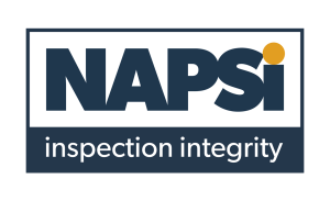 NAPSI Logo